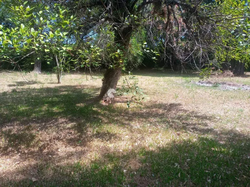 Terreno à venda no Pinheiro Machado: 