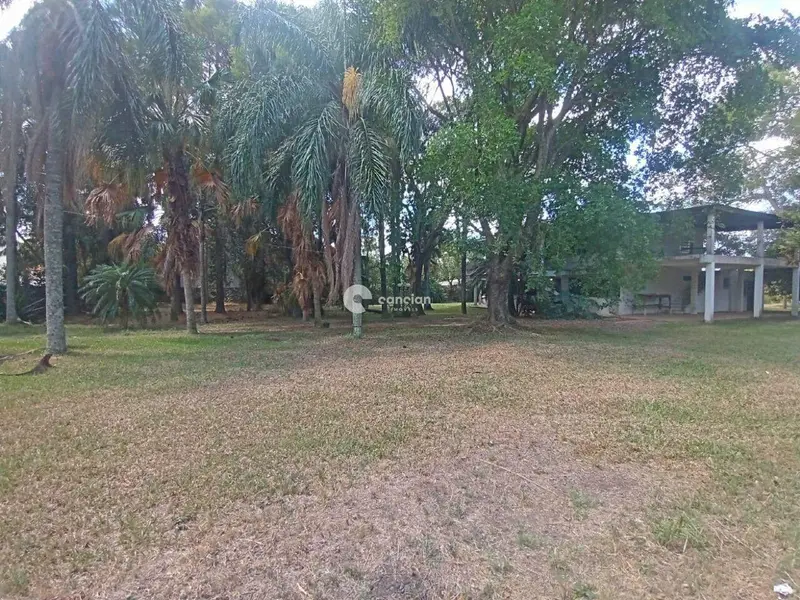 Terreno à venda no Pinheiro Machado: 