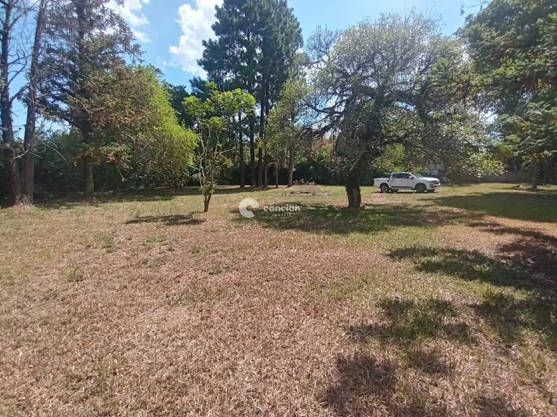 Terreno à venda no Pinheiro Machado: 