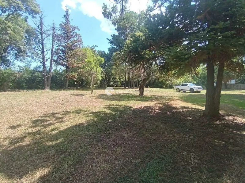 Terreno à venda no Pinheiro Machado: 