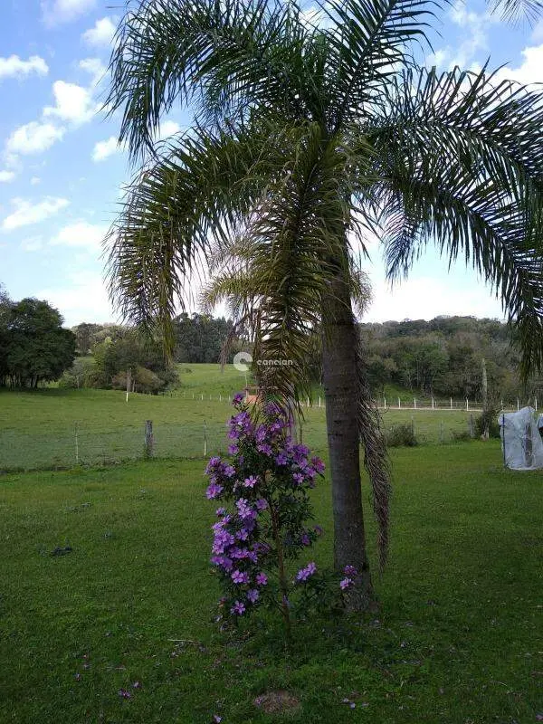Chácara à venda no Camobi: