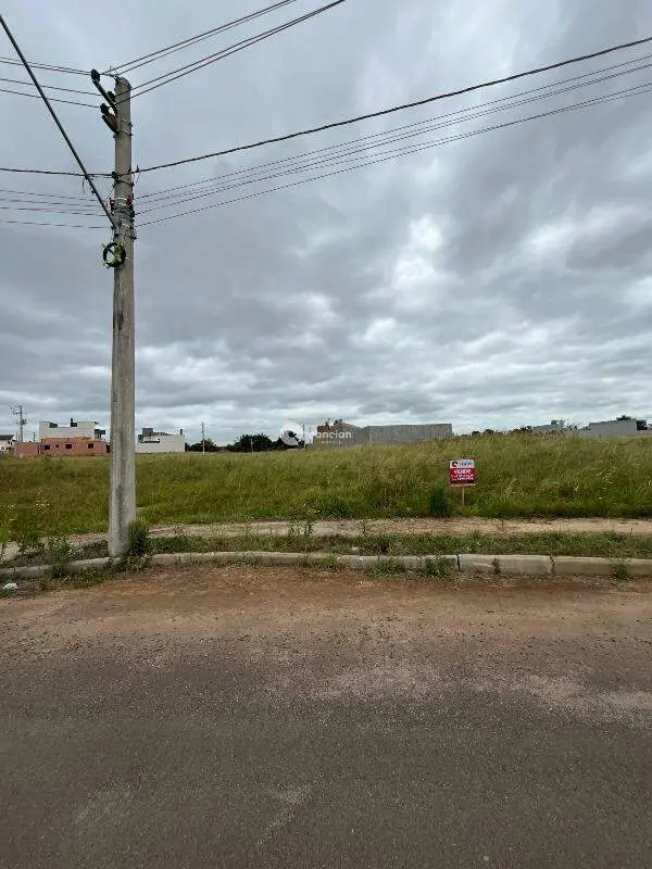 Terreno à venda no Pinheiro Machado: 