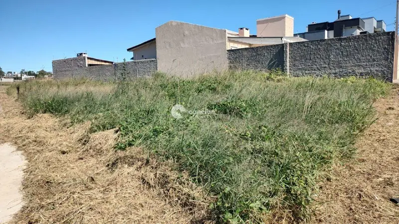 Terreno à venda no Pinheiro Machado: