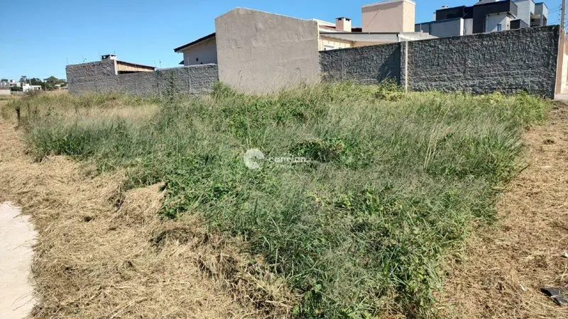 Terreno à venda no Pinheiro Machado: