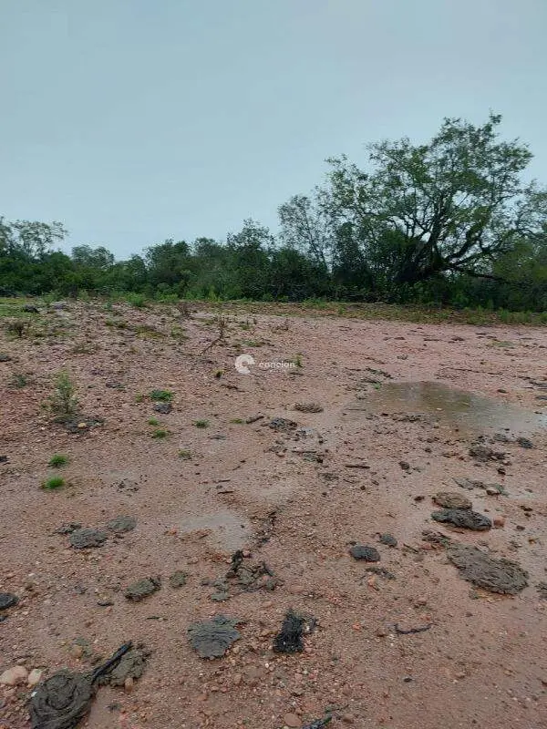Fazenda à venda no Palmas: 