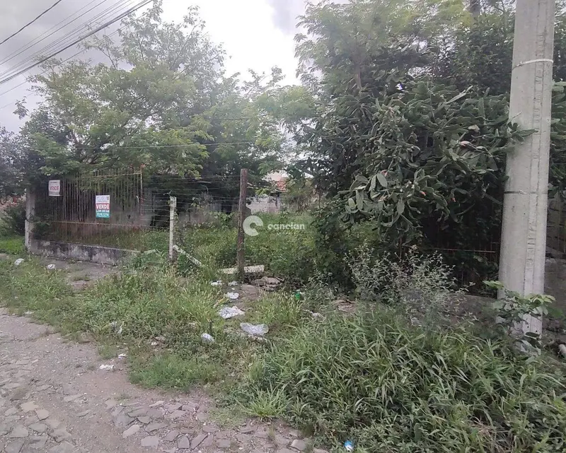 Terreno à venda no Noal: 