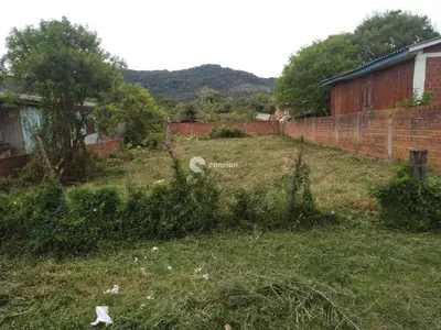 Terreno à venda no Campestre do Menino Deus: 