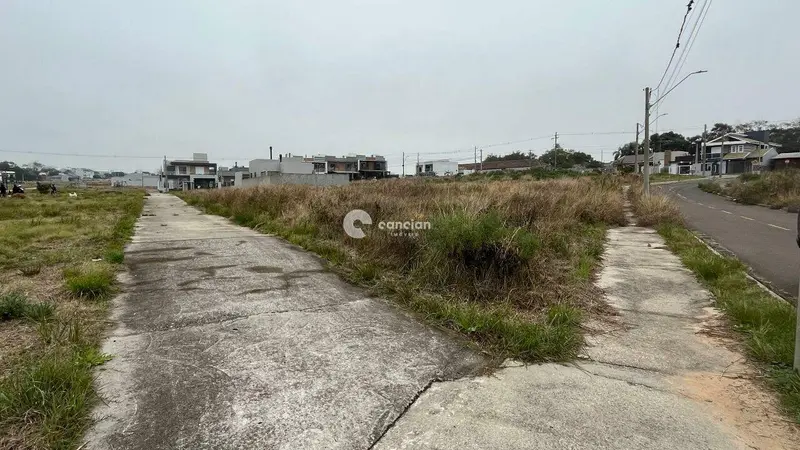 Terreno à venda no Pinheiro Machado: 