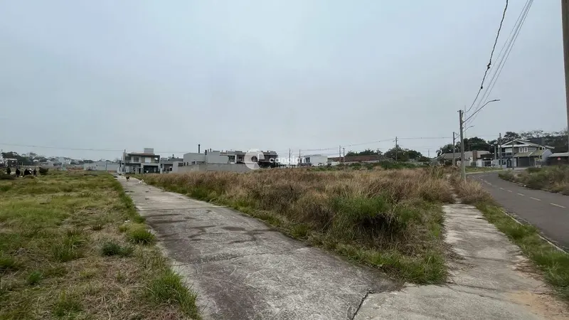 Terreno à venda no Pinheiro Machado: 