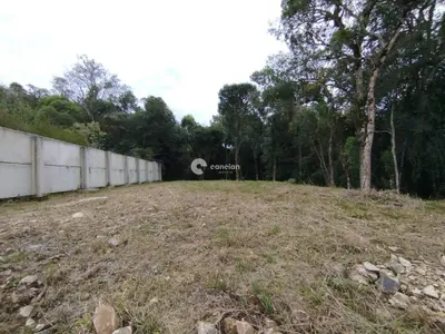 Terreno à venda no Centro: 