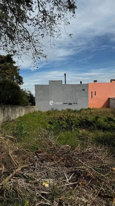 Terreno à venda no Dom Antônio Reis: 