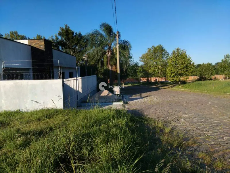 Terreno à venda no Tomazetti: 