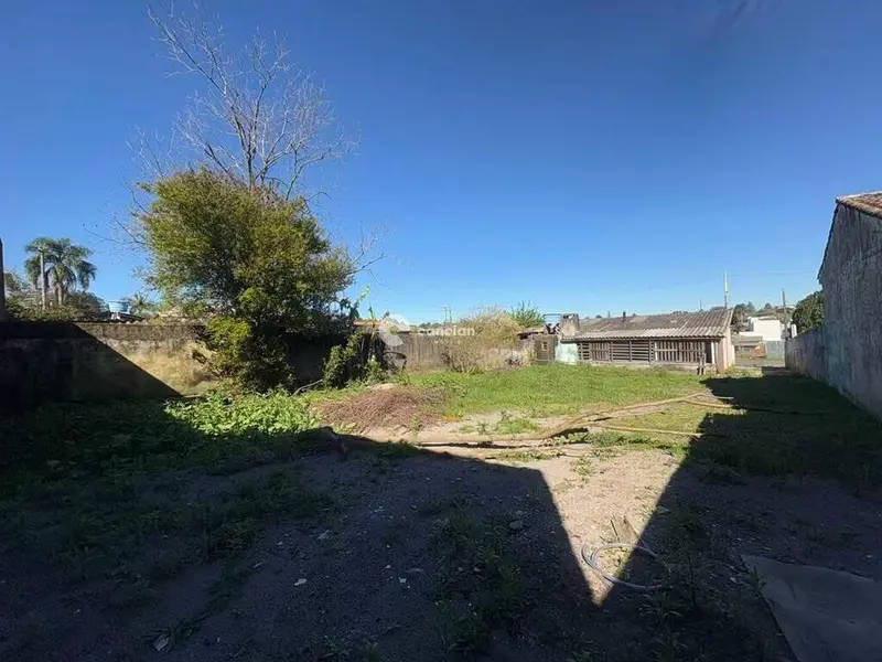 Terreno à venda no Tomazetti: 