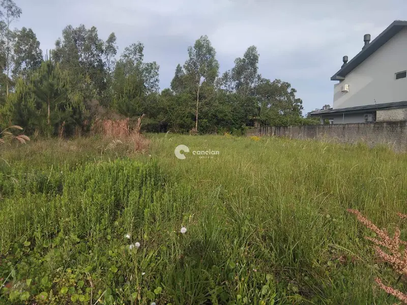 Terreno à venda no Pé de Plátano: 