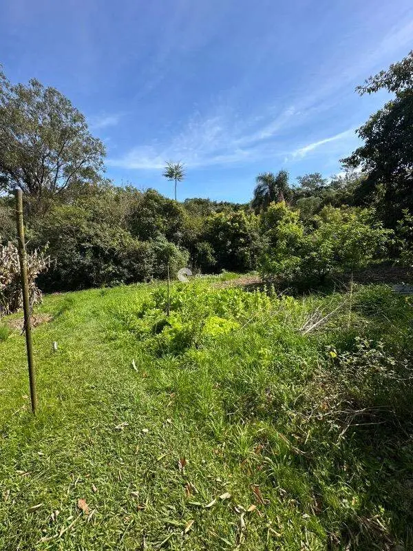 Fazenda à venda no Nossa Senhora do Perpétuo Socorro: 