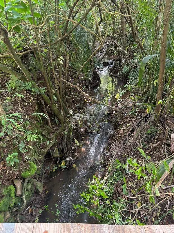 Fazenda à venda no Nossa Senhora do Perpétuo Socorro: 