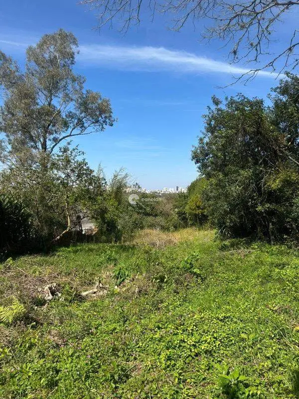 Fazenda à venda no Nossa Senhora do Perpétuo Socorro: 
