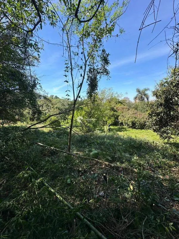 Fazenda à venda no Nossa Senhora do Perpétuo Socorro: 