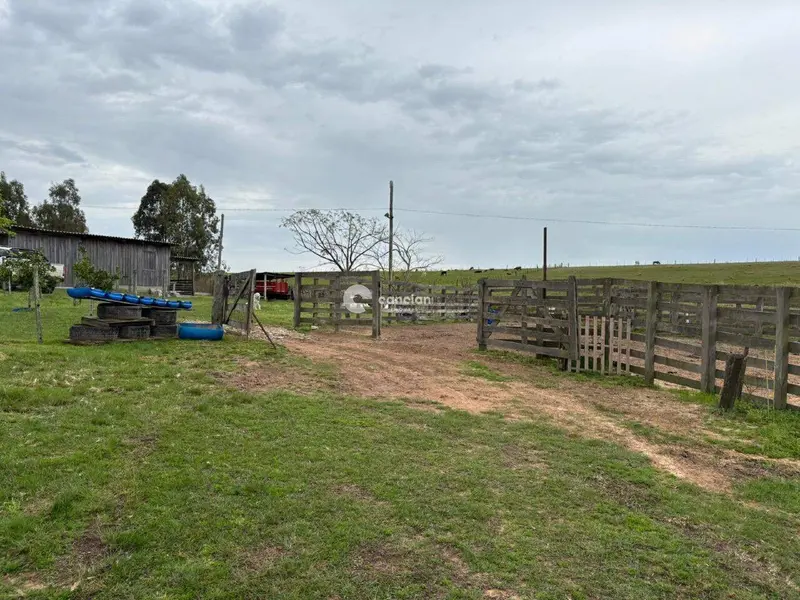 Área Rural à venda no Capão do Leão: 