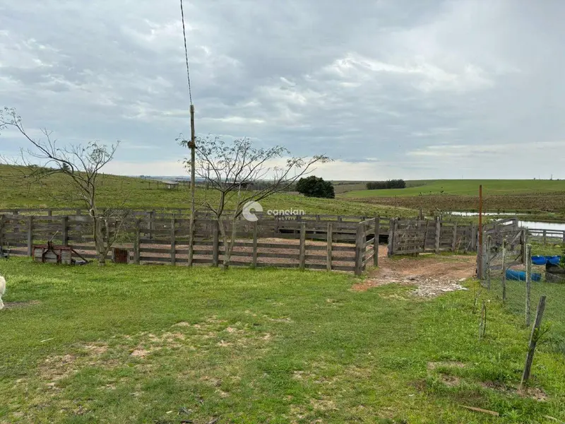 Área Rural à venda no Capão do Leão: 