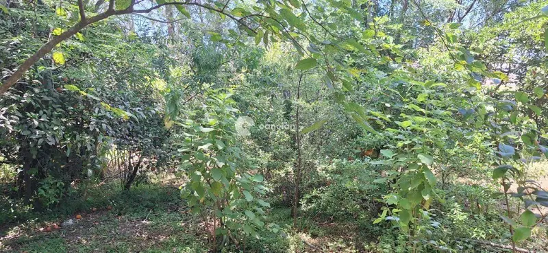Chácara à venda no Zona Rural: 