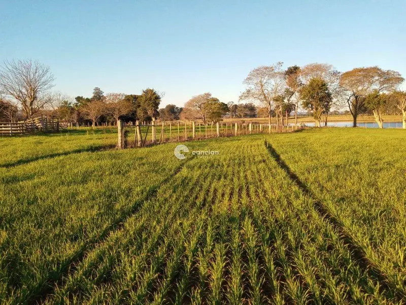 Área Rural à venda no Boca do Monte: