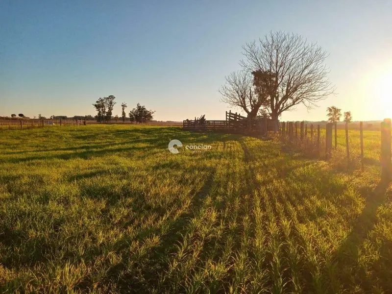 Área Rural à venda no Boca do Monte: