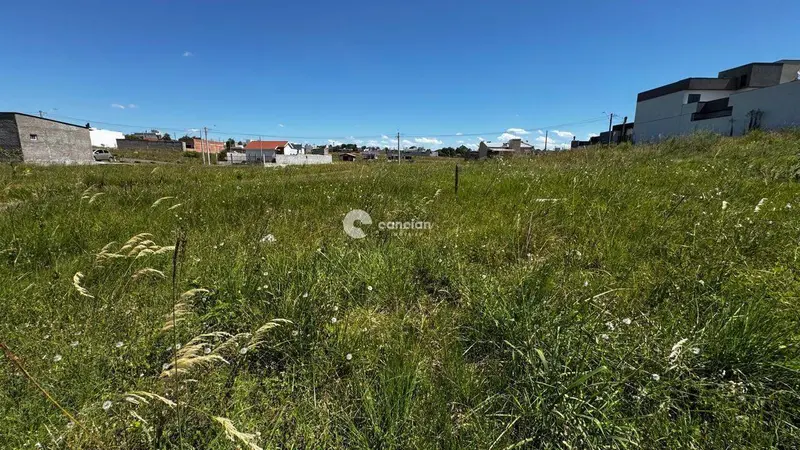Terreno à venda no Pinheiro Machado: 