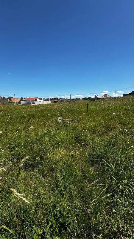 Terreno à venda no Pinheiro Machado: 