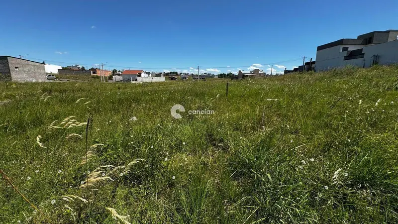 Terreno à venda no Pinheiro Machado: 