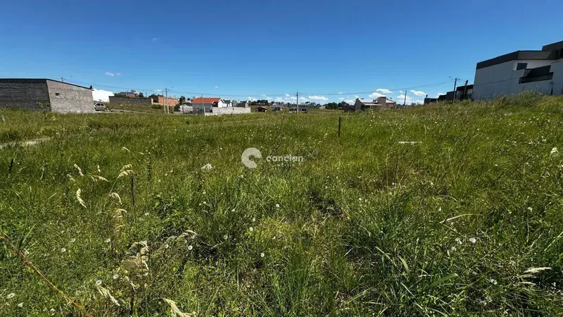 Terreno à venda no Pinheiro Machado: 
