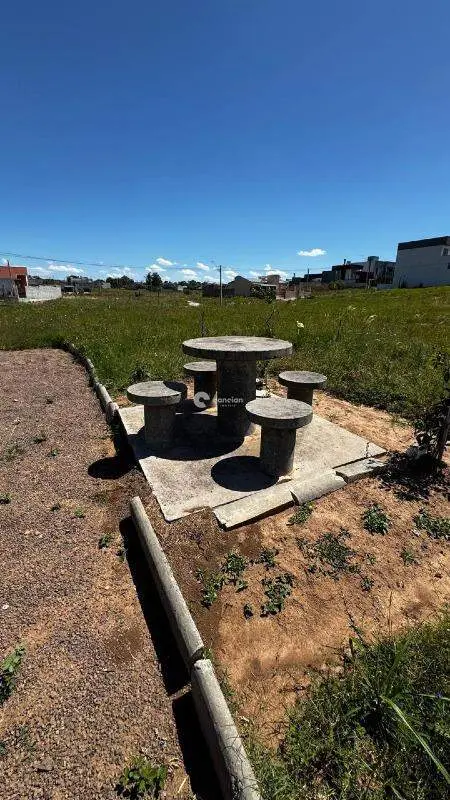 Terreno à venda no Pinheiro Machado: 
