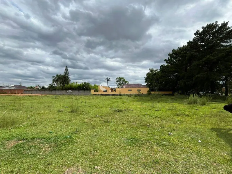 Terreno à venda no Tancredo Neves: 