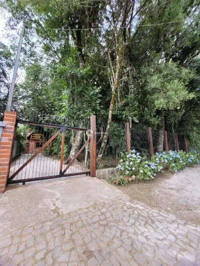 Casa para aluguel no Parque Pinhal: 