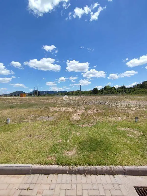 Terreno à venda no Camobi: 