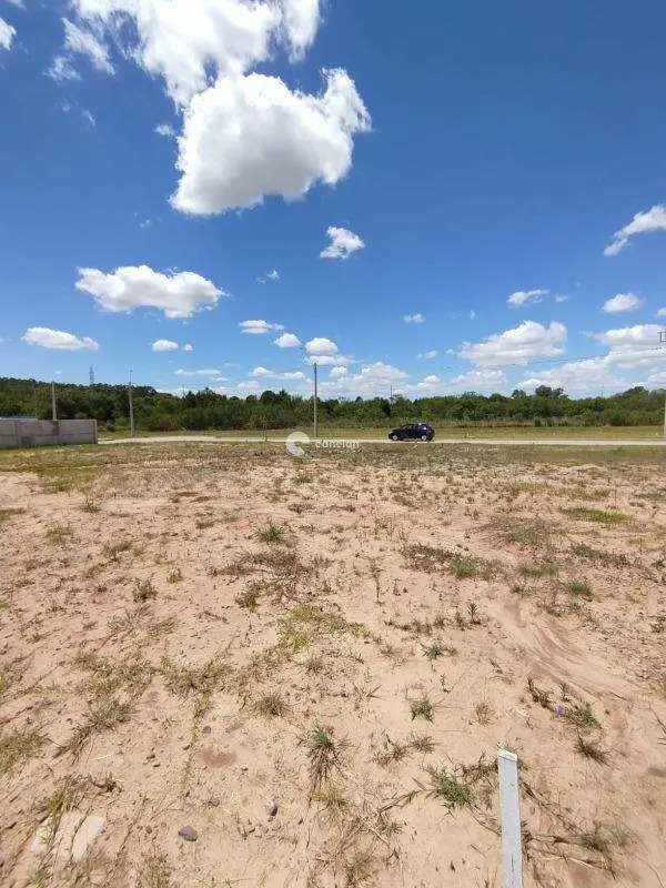 Terreno à venda no Camobi: 