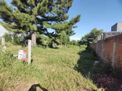 Terreno à venda no Diácono João Luiz Pozzobon: 