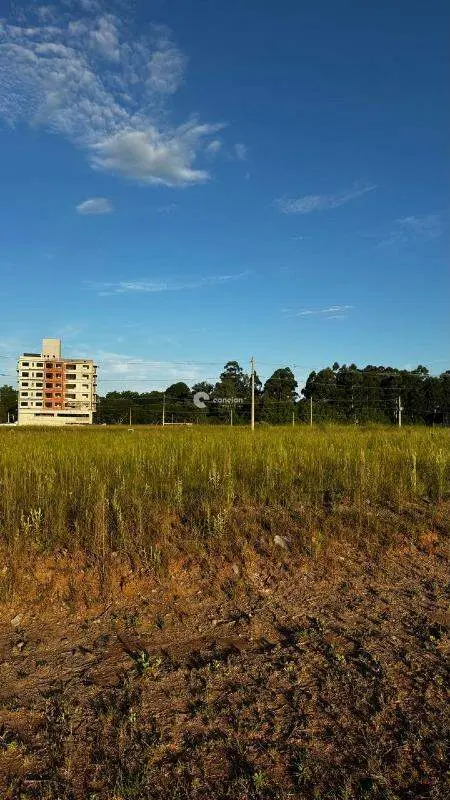 Terreno à venda no Camobi: 