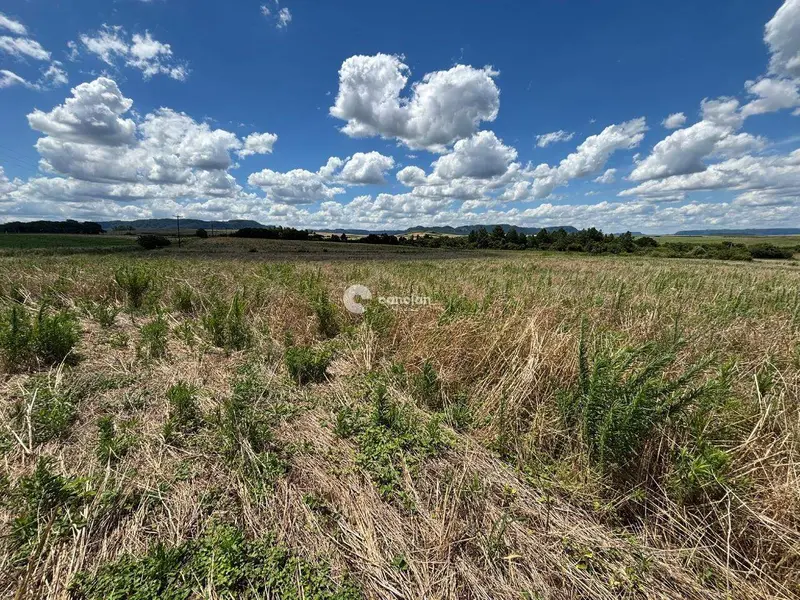 Área Rural à venda no Palma: