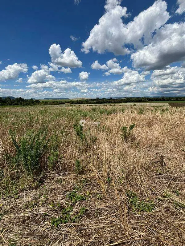Área Rural à venda no Palma: