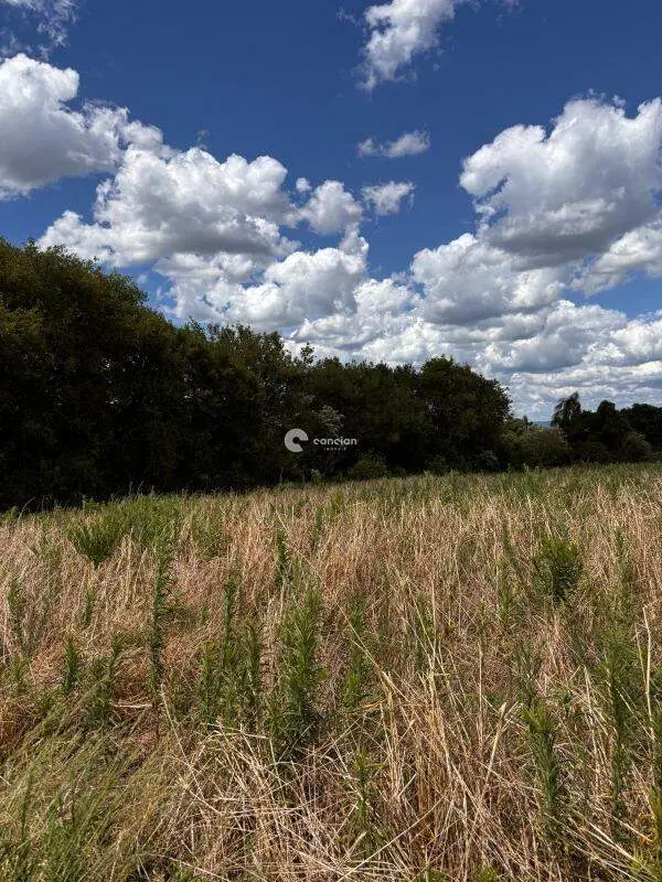Área Rural à venda no Palma: