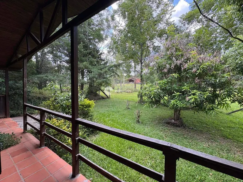 Casa à venda no Campestre do Menino Deus: 