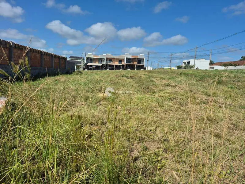 Terreno à venda no Pinheiro Machado: 