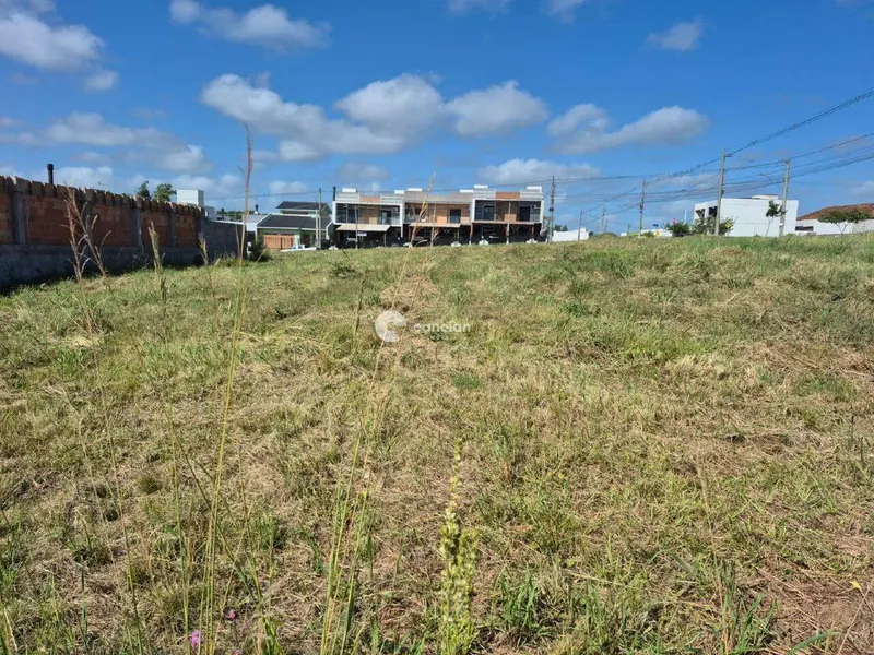 Terreno à venda no Pinheiro Machado: 