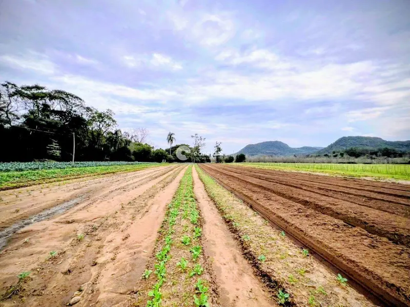 Área Rural à venda no Arroio Grande: 