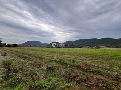 Área Rural à venda no Arroio Grande: 