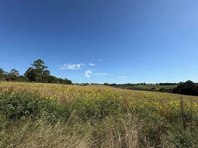 Área Rural à venda no Rural: 