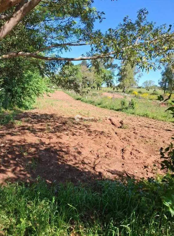 Terreno à venda no Passo das Tropas: 