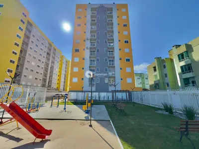 Apartamento para aluguel no Camobi: 
