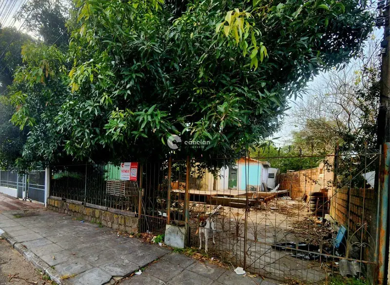 Terreno à venda no Carolina: 